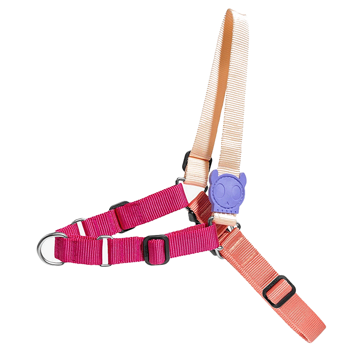 ZeeDog Cinnamon Soft Walk arnes perro