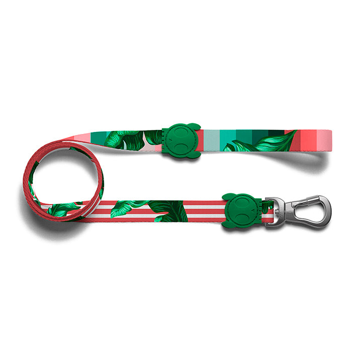 zeedog bali leash correa perro