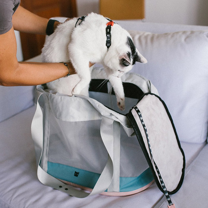 Zee.Cat Kombucha Bolso Transportín
