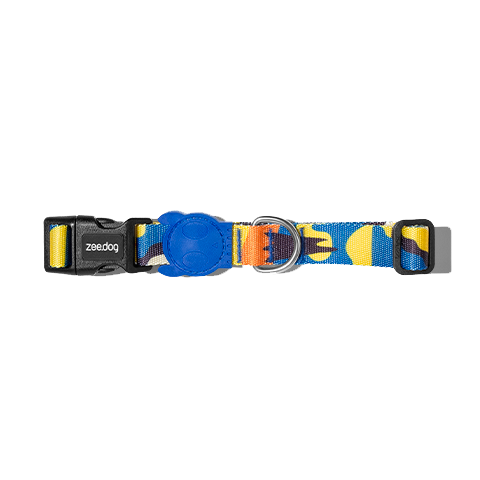 ZeeDog Collar Artsy