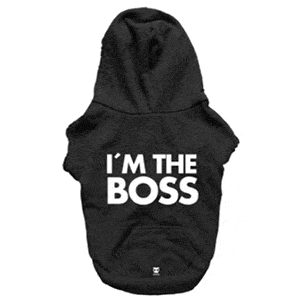 Zee.Dog Sudadera Boss